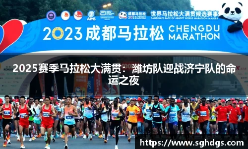 6163银河net163