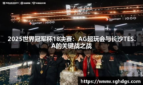 6163银河net163